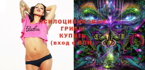 PSILOCYBIN Балабаново
