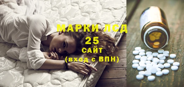 PSILOCYBIN Балабаново