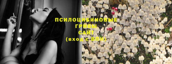 амф Балахна